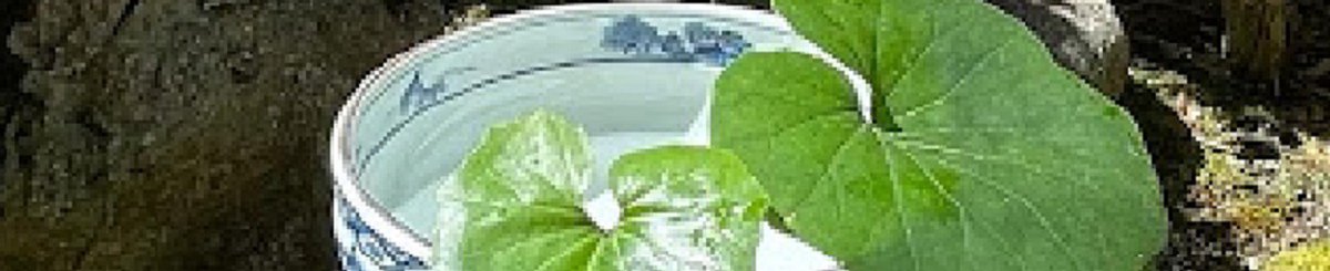 HOUSEN KILN | เตาเผาโฮเซ็น