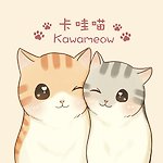 แบรนด์ของดีไซเนอร์ - kawameow011