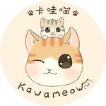  Designer Brands - kawameow011