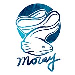 デザイナーブランド - moray-studio