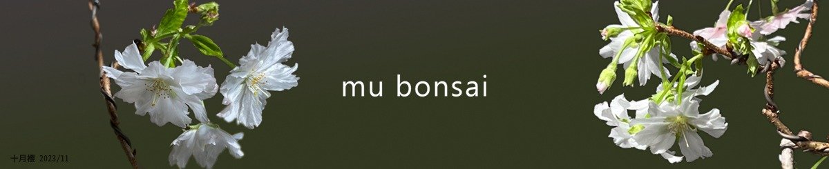 mu bonsai