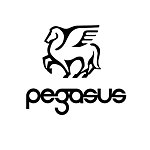 แบรนด์ของดีไซเนอร์ - pegasus