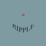  Designer Brands - ripplestudio