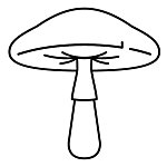 設計師品牌 - röyksopp gakkai 蘑菇學會
