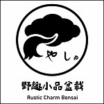 設計師品牌 - 野趣小品盆栽 Rustic Charm Bonsai