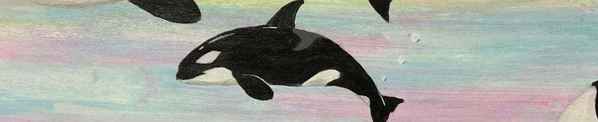  Designer Brands - shachiko