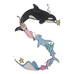  Designer Brands - shachiko