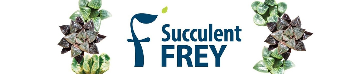 設計師品牌 - Succulent Frey