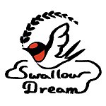  Designer Brands - swallowdream
