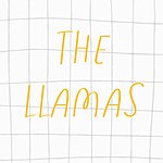 デザイナーブランド - the Llamas
