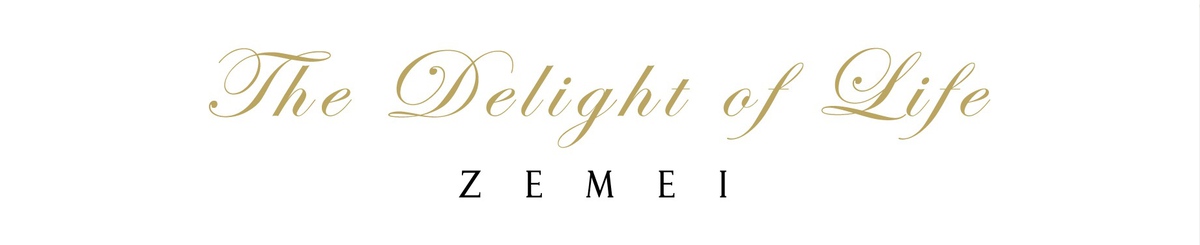  Designer Brands - ZEMEI