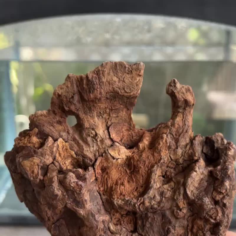 Kalimantan wild old material agarwood 113 grams agarwood ornaments [submersible grade] Xingzhou series agarwood - น้ำหอม - ไม้ สีนำ้ตาล