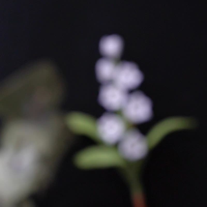Yuansen 手作りユリの蘭の花マイクロ フック手作りブローチ小さな新鮮な多目的文学ピン アクセサリー レース スレッド フォレスト シリーズ - ブローチ - 刺しゅう糸 ホワイト