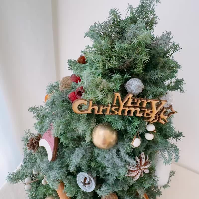 永生雪松聖誕樹 聖誕節 - 乾燥花/永生花 - 植物．花 