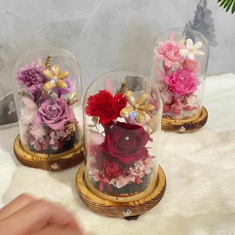 母親節康乃馨永生花 小夜燈 附禮盒 - 乾燥花/永生花 - 植物．花 多色