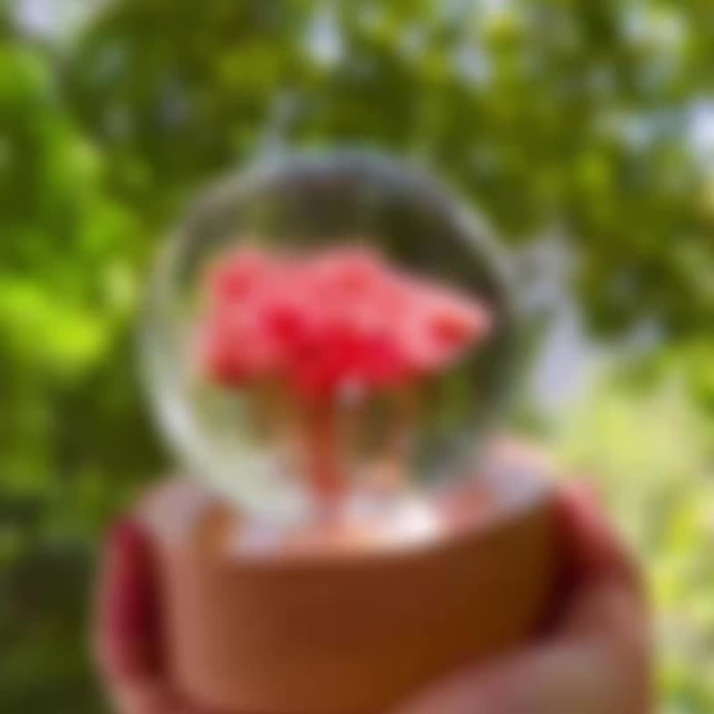 可客製 /巴西小雛菊水晶球 - 擺飾/家飾品 - 植物．花 白色
