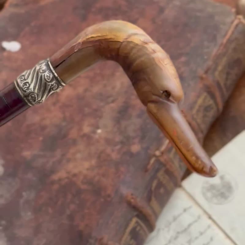 50196-珍藏法國19世紀牛角雕鴨藤木拐杖 - 其他 - 其他材質 