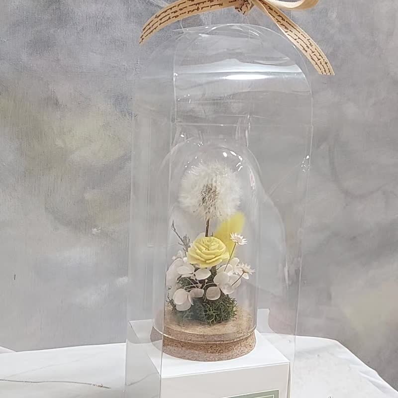 蒲公英永生花禮 畢業花禮 生日禮物 交換禮物 - 乾燥花/永生花 - 植物．花 白色