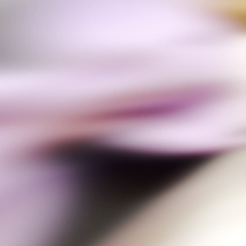 有錢花手工禮物盒│生日│母親節│鈔票花│永生花【紫色】 - 相簿/相本 - 紙 紫色