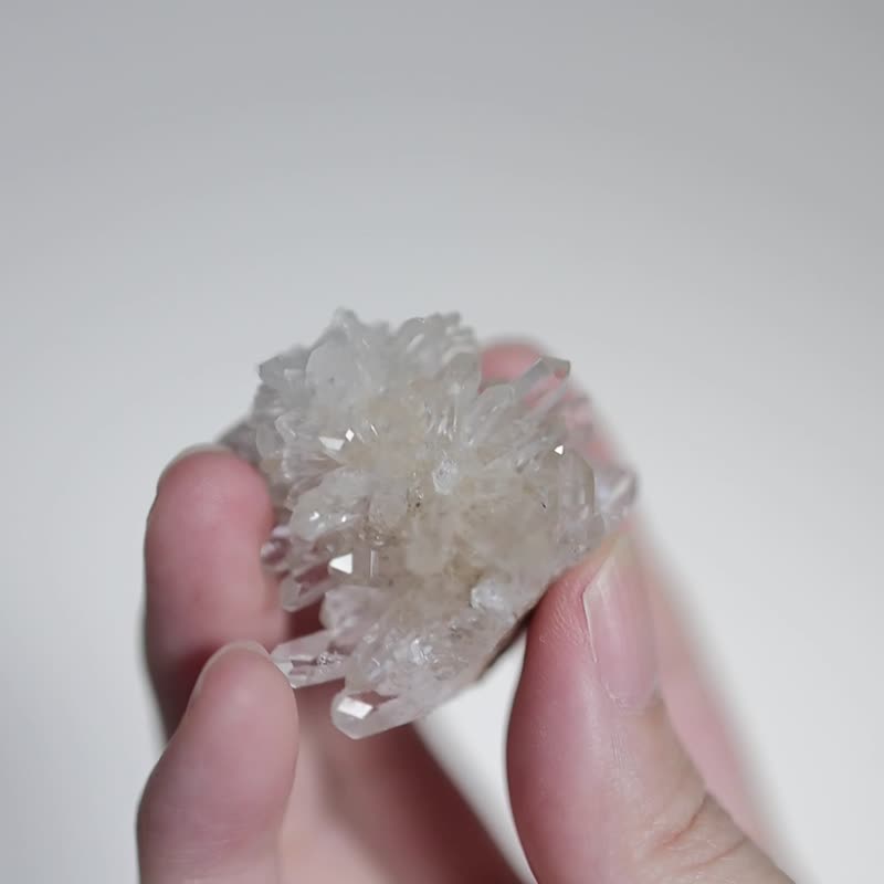 白菊花晶簇 Quartz Crystal Cluster no.2 - 擺飾/家飾品 - 水晶 透明