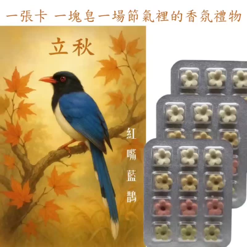 秋季節氣插畫卡 草本洗手皂 珍禽原創插畫 台灣製手工皂 禮贈推薦 - 肥皂/手工皂 - 其他材質 