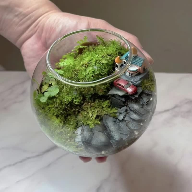 Verdant Meadow's Fragrant Slope / Thematic Customized Landscaped Ecological Terrarium - Plants - Plants & Flowers 