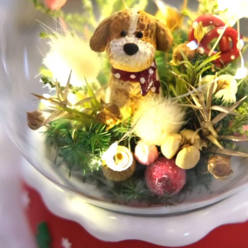 聖誕狗狗燈串永生水晶球 附聖誕卡片 - 乾燥花/永生花 - 植物．花 綠色