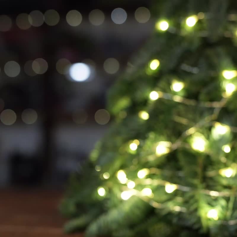 尖叫雞 (可發聲) DIY Kit (本地件以香港郵政寄出) - 木工/竹藝/紙雕 - 木頭 多色