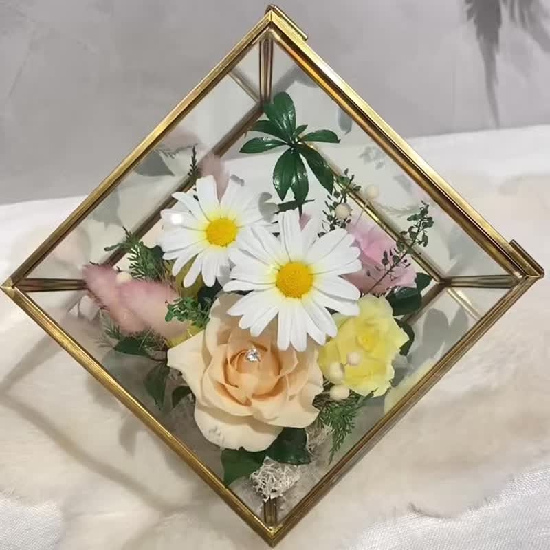 魔方 永生花 瑪格麗特 開幕 新居落成 升遷 - 乾燥花/永生花 - 植物．花 黃色