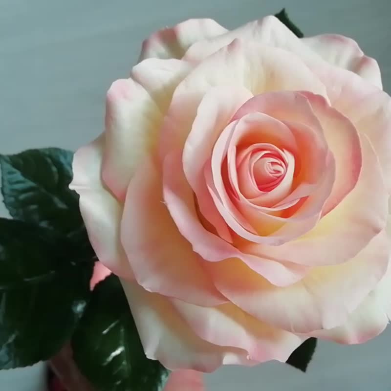 Handmade rose flower. Single rose for vase. Real touch Rose. 玫瑰花 - 擺飾/家飾品 - 其他材質 粉紅色
