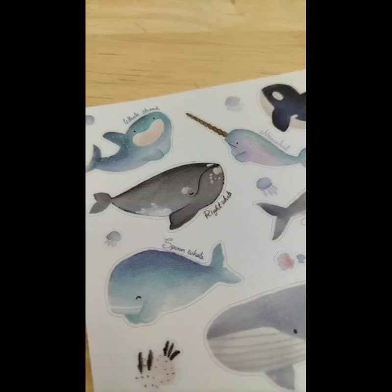 Whales Sticker - 貼紙 - 紙 多色