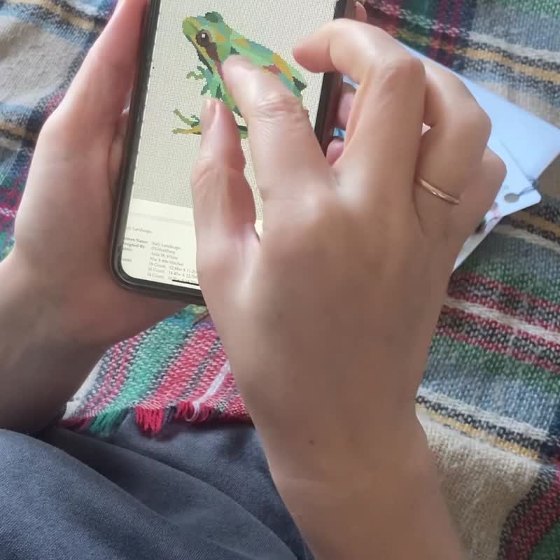 Frog Cross Stitch PDF Pattern | 十字繡圖案 - 手工藝教學/工具書 - 其他材質 