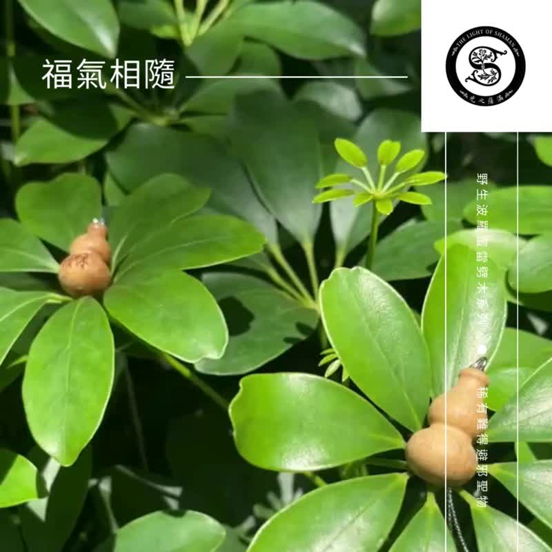 福氣相隨 稀有難得避邪聖物野生波羅蜜雷劈木系列相思木雷劈木福 - 其他 - 木頭 藍色