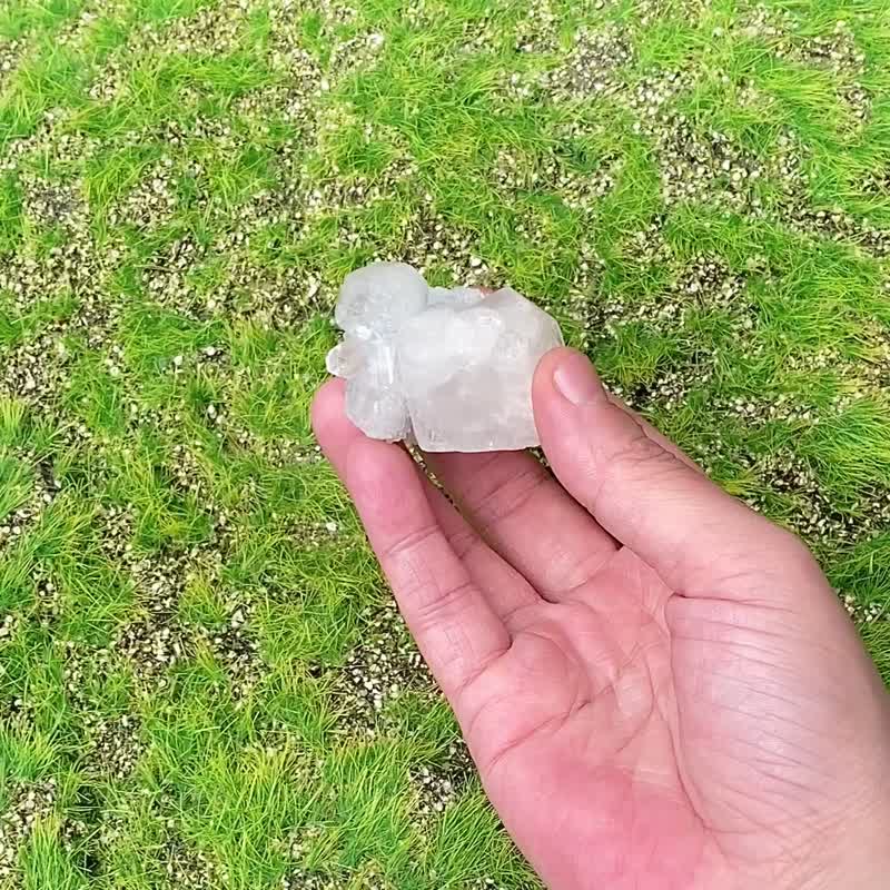 天然原礦鑽石魚眼石共生彩虹方解石 釋放負面磁場 旺財運快速出貨 - 擺飾/家飾品 - 水晶 白色