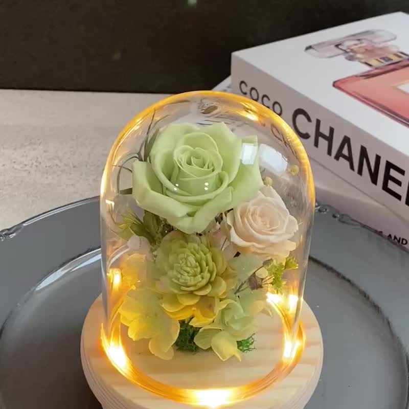 玻璃盅 不凋花 乾燥花 小王子 夜燈 送禮 情人節禮物 生日禮物 - 乾燥花/永生花 - 植物．花 綠色