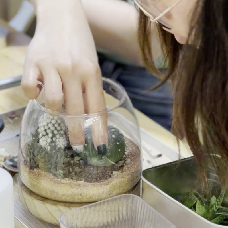 【植物藝術工作坊】多肉植物盆景工作坊 - 植栽/花藝 - 植物．花 