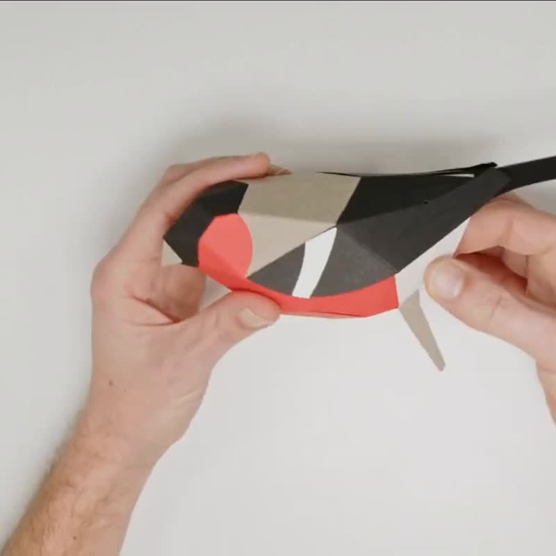 Plego DIY Handmade Paper Model Material Pack Bullfinch Pyrrhula bird