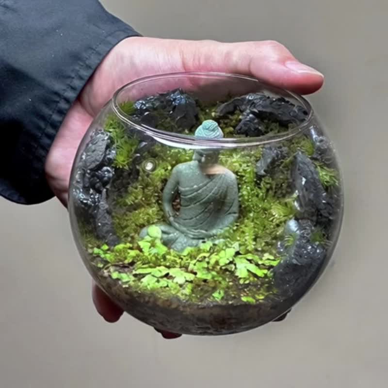 窟中の禅 / テーマ別カスタマイズ造景テラリウム - 観葉植物 - 寄せ植え・花 