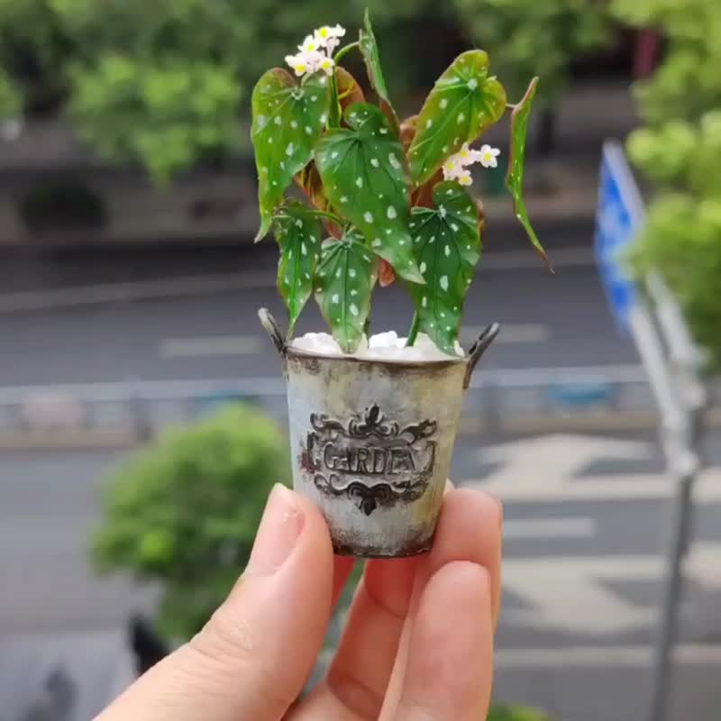 Miniature Clay Trout Begonia Green Plant Pot - ของวางตกแต่ง - ดินเหนียว สีเขียว