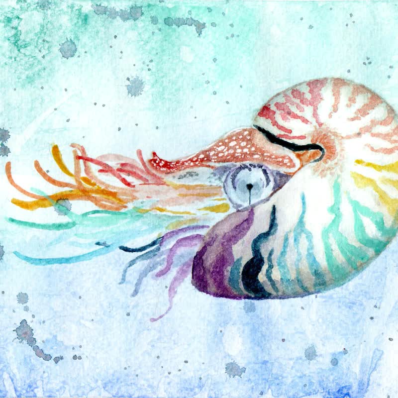 海洋系水彩線上體驗課─夢幻海生 - 線上教學/教學影片 - 其他材質 