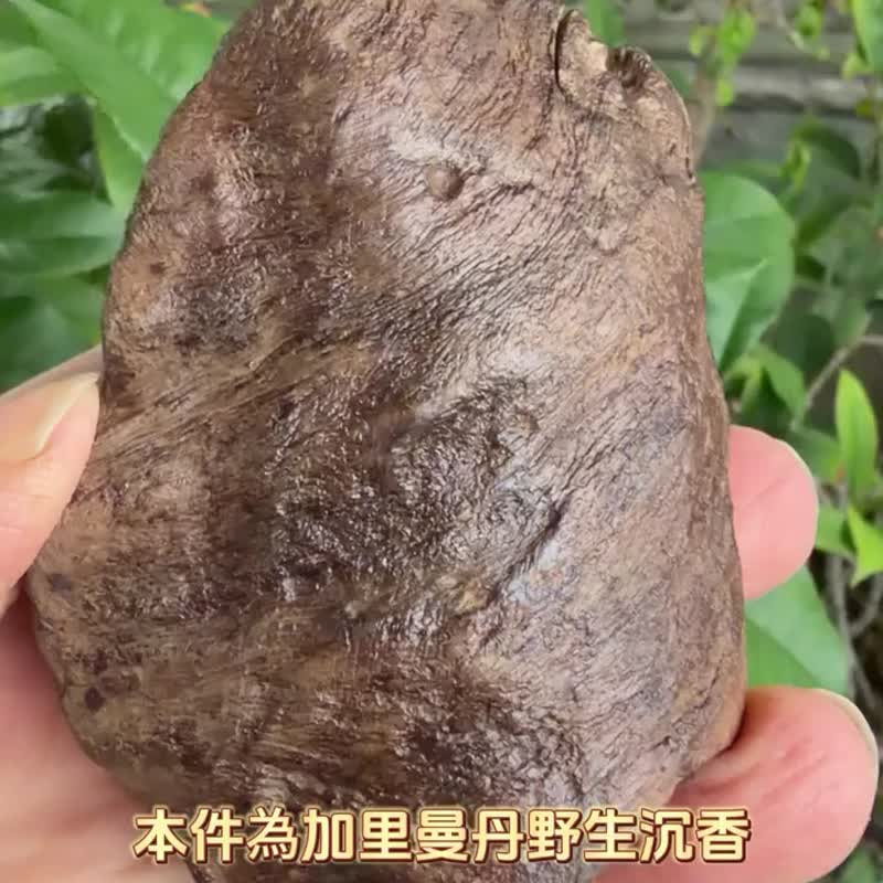 カリマンタン産 野生沈香古木 84g 沈香置物 【沈水級】 星洲系 - 置物 - 木製 カーキ