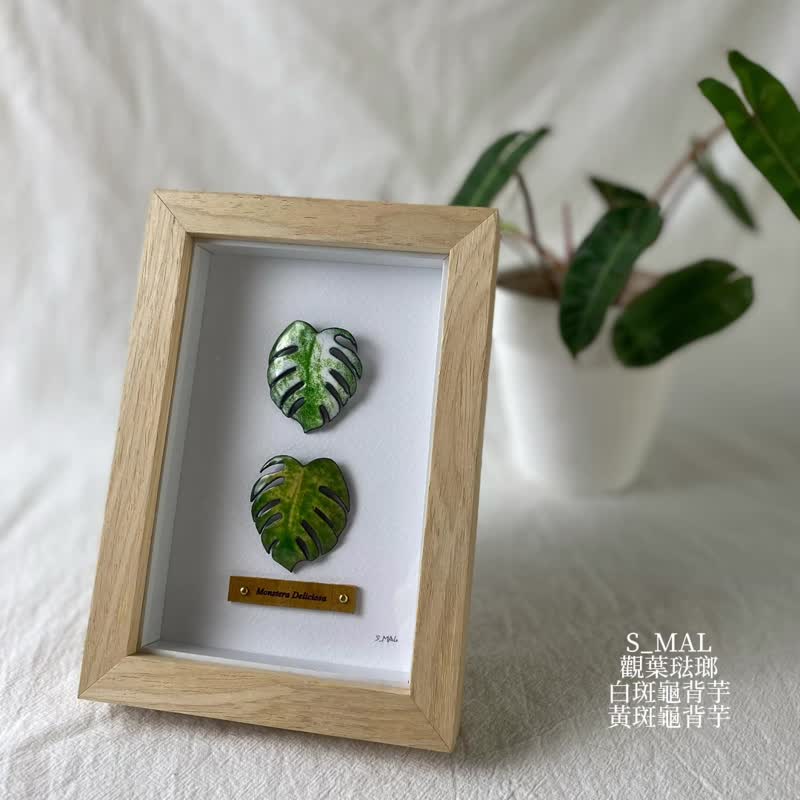 觀葉琺瑯相框_白斑與黃斑龜背芋 - 擺飾/家飾品 - 琺瑯 多色