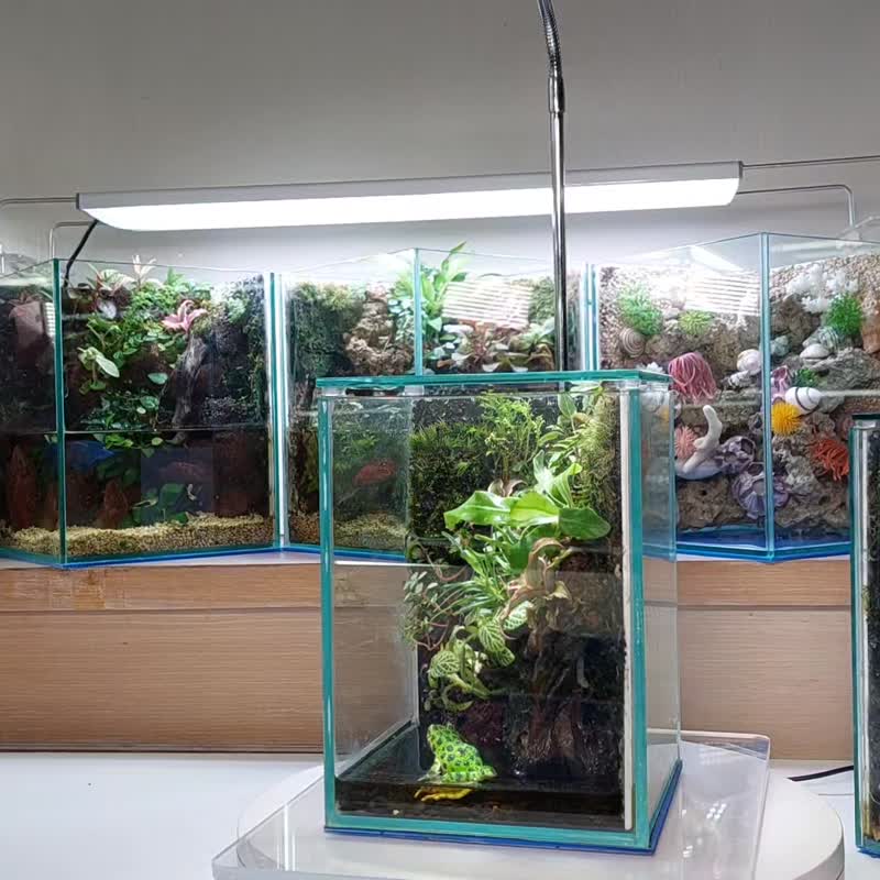 多變組合AO-1520生態造景缸 - 植栽/盆栽 - 玻璃 
