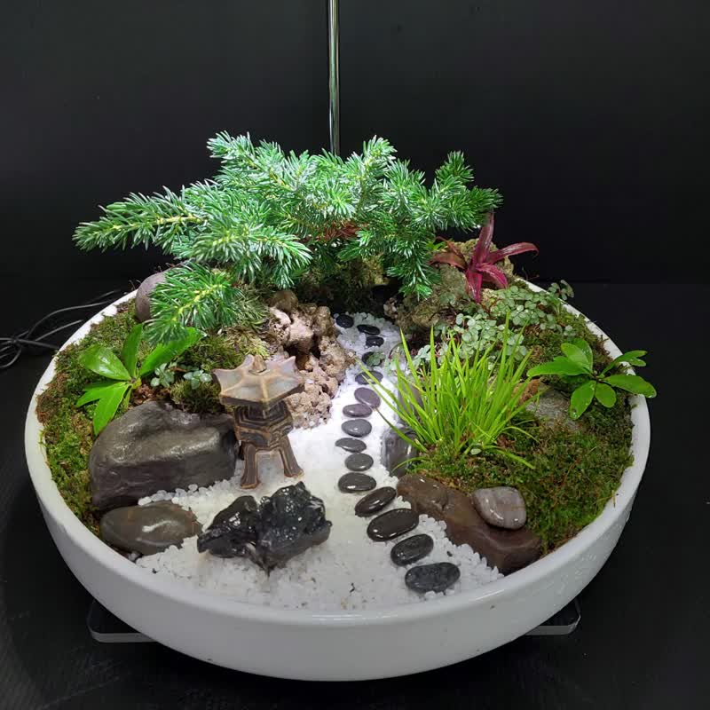 Japanese style garden bonsai Ak-3030 white porcelain round basin