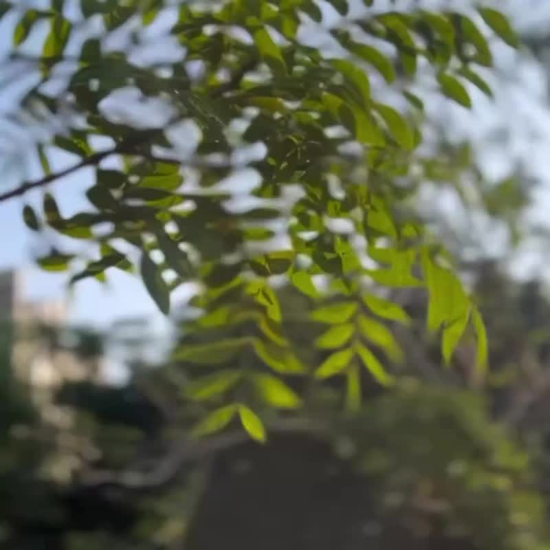 個人淡香水設計  KPIA 大韓調香師體驗 - 蠟燭/香氛/調香 - 其他材質 