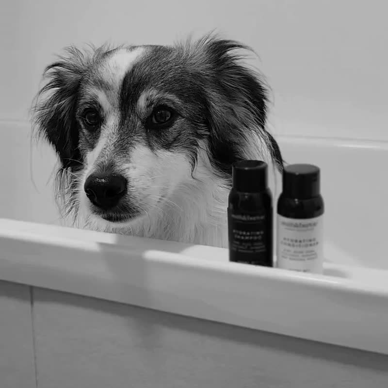 [smith&burton] Puppy Care 2-in-1 Shampoo 250ml (for dogs) - ทำความสะอาด - สารสกัดไม้ก๊อก 