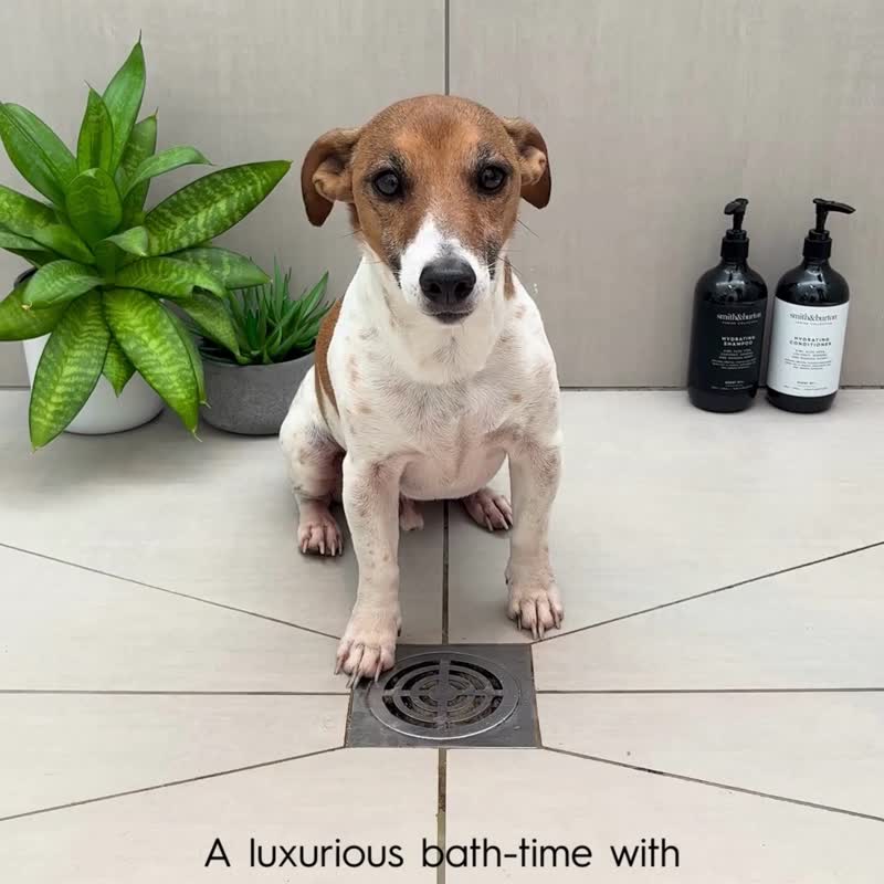 【Smith&Burton】Soft 2 in 1 Puppy Shampoo 250ml (For Dogs) - Cleaning & Grooming - Concentrate & Extracts 