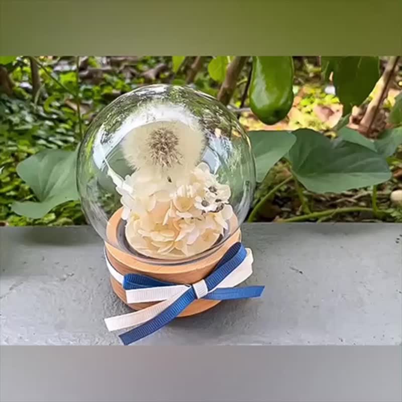Dandelion waltz music box glass log flower cup immortal flower rotating music box - Items for Display - Plants & Flowers 