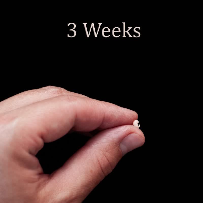 Set of 4 pcs, 1st trimester of pregnancy, figurines of intrauterine embryos, - ตุ๊กตา - วัสดุอื่นๆ 