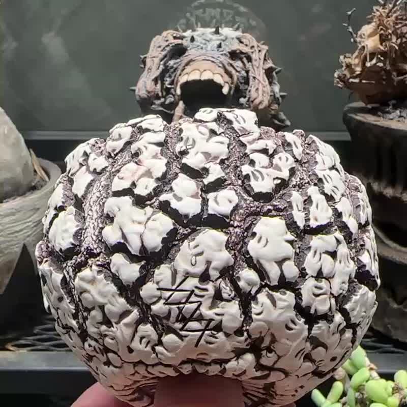爆裂盆 - 植栽/盆栽 - 陶 